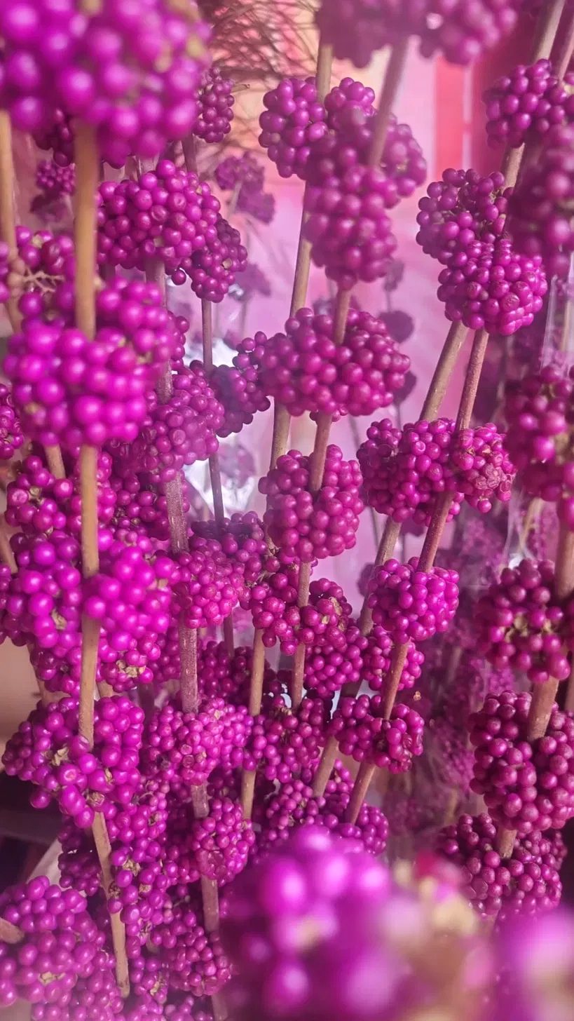 Winterbloemen