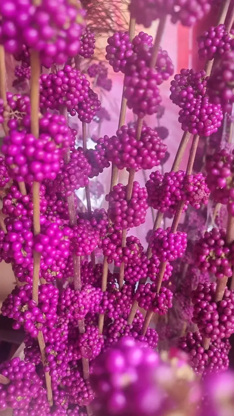 Winterbloemen