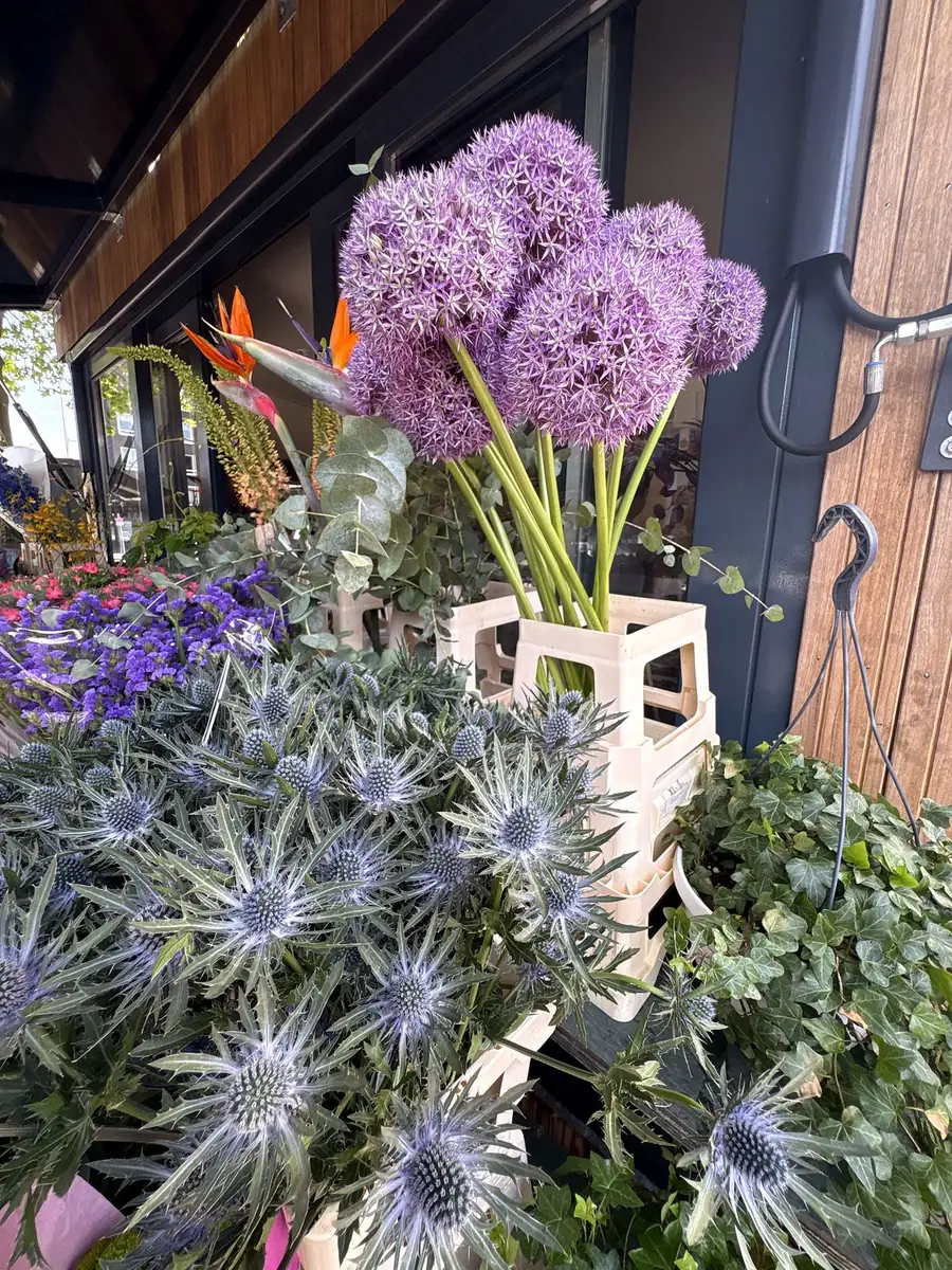 Allium en distels